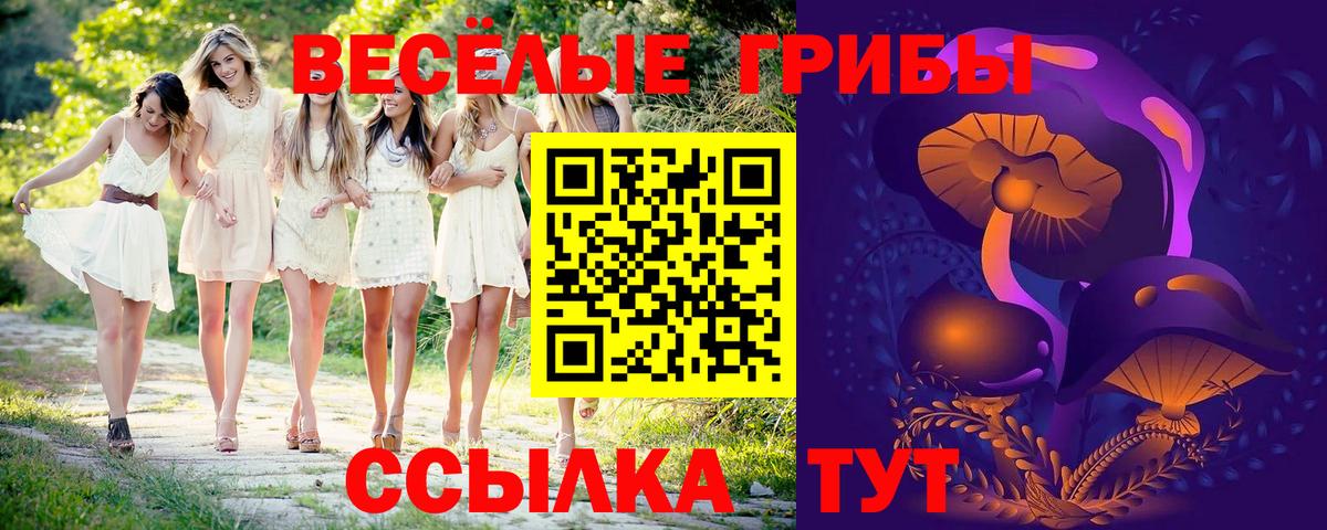 Псилоцибиновые грибы GOLDEN TEACHER  Псилоцибиновые грибы Cubensis  Вход с VPN  Аксай 
