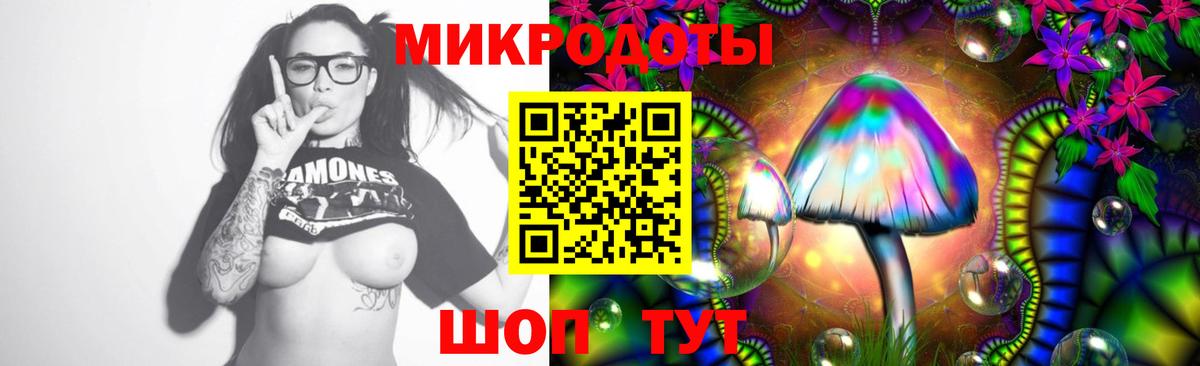 Псилоцибиновые грибы Cubensis Аксай